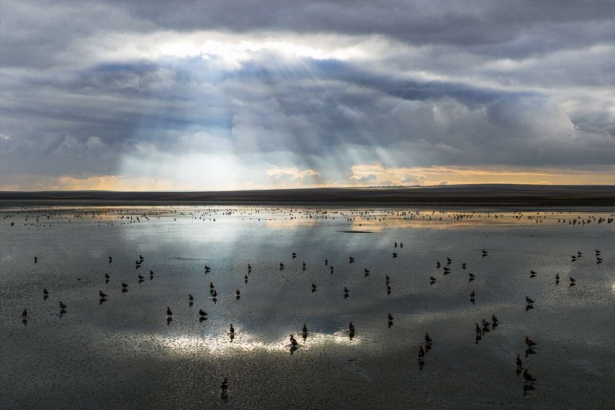 Konya’da doğa ziyafeti 4